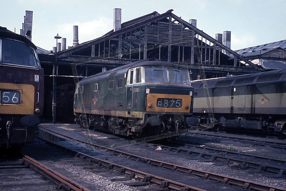 D7005 1969-06-08 Swindon