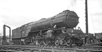 60501 1950s recorded as Haymarket shed