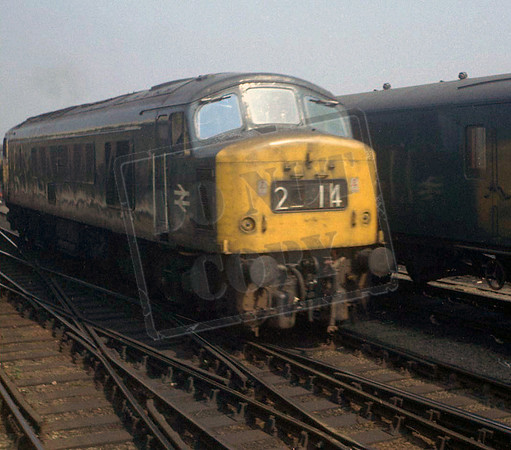 Peak 1973 Cambridge