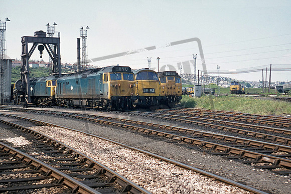 500xx 1975 Laira