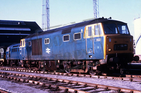 D7037 1971 Old Oak Common