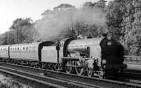 30925 1959-07-11 Orpington-ROS-1511-065