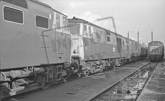 D7019 1971-03-25 Horton Road