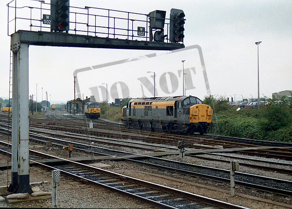 37054 1991-10-29 Westbury Shed