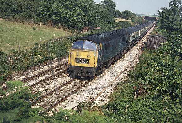 D1016 1975 Ivybridge Station