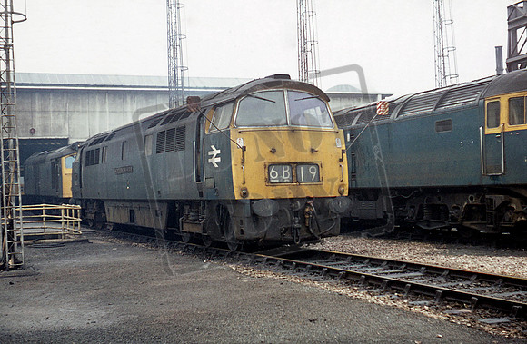 D1021 1975 Laira