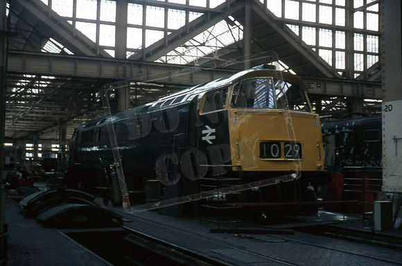 D1029 1968-03-30 Swindon Works