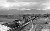 D53xx 1960s between Aviemore and Carrbridge