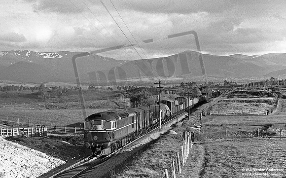 D53xx 1960s between Aviemore and Carrbridge