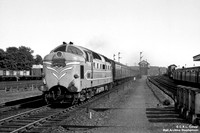 Deltic 1957-05-27 Watford junction