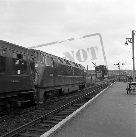 D823 1965-07-29 Sidmouth Junction