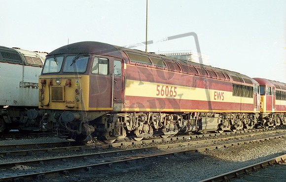 56065 2003-01-25 Immingham