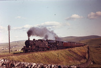 264T 45530 1960s Shap-ROS-546