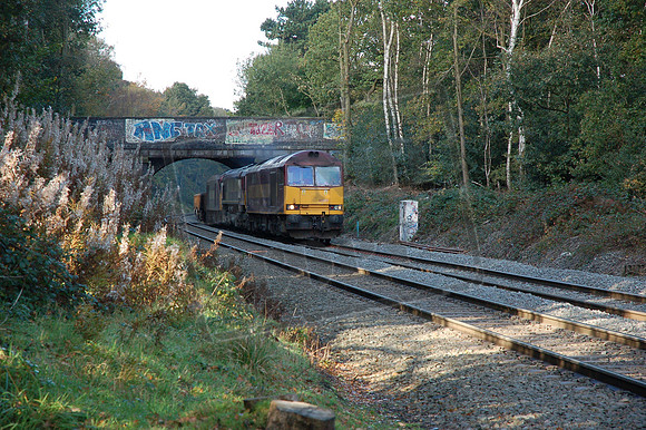 60017 66111 60031 2008-10-22 Sutton Park (2)