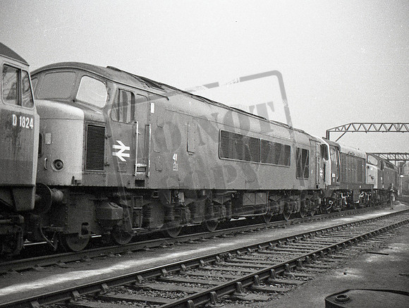 41 1969c Longsight