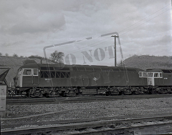 56037 1981-03-06 Stoke Gifford