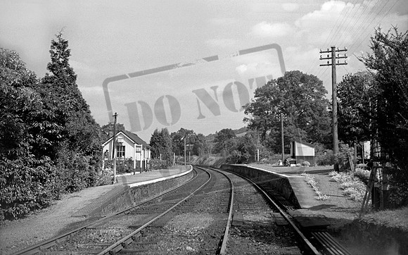 Trefeinon 1958
