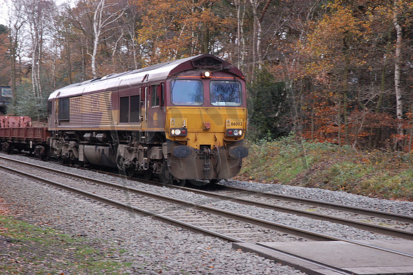 66002 2008-11-19 Sutton Park