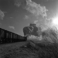 42xxx 1960s Shap-ROneg-151
