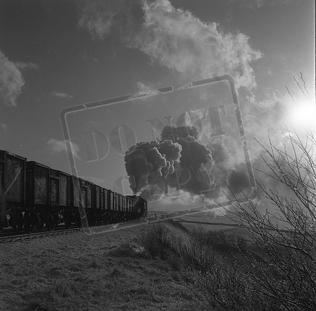 42xxx 1960s Shap-ROneg-151