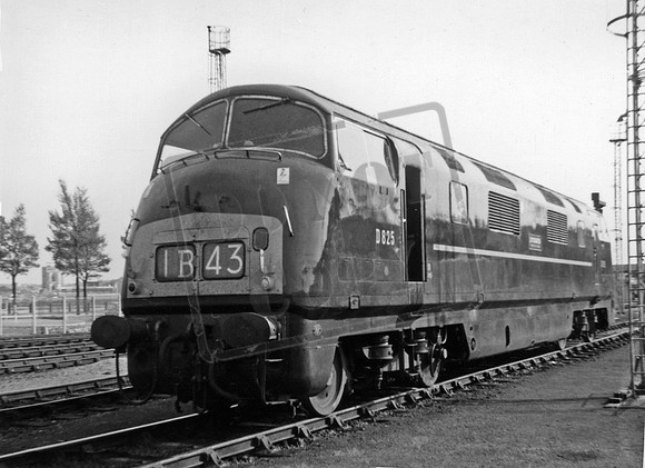 D825 1962c Laira