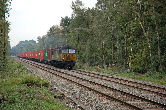 56303 2008-09-16 Sutton Park (4)
