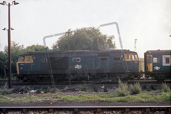 D7018 1974 Is it Old Oak Common?