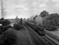 60817 1960s East Midlands-ROneg-188