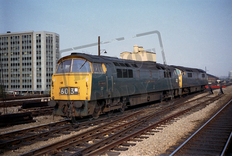 Rail-Online | Class 52 Western | D1013 1973-4-27 Reading