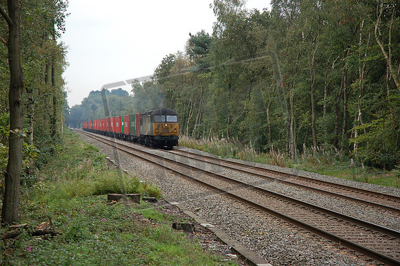 56303 2008-09-16 Sutton Park (2)