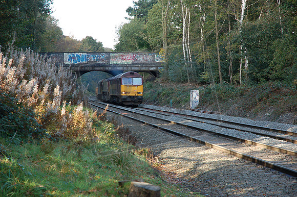 60017 66111 60031 2008-10-22 Sutton Park (1)
