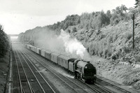30906 1961-08-07 Winchfield-ROSneg-1808-016