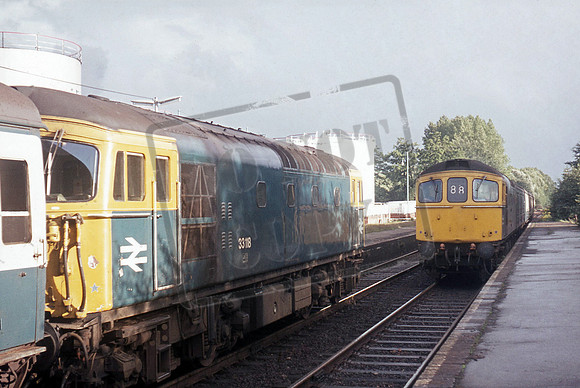33118 1977c