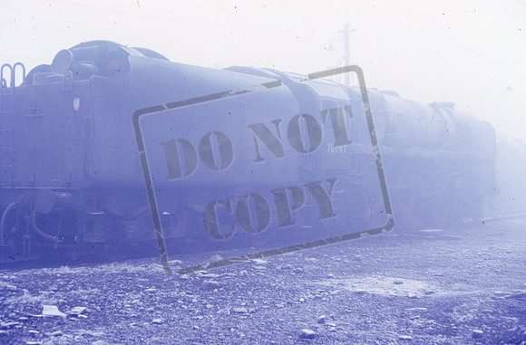 70047 1967-12-ROS-1410-986