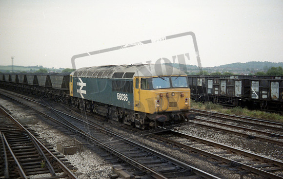 56036 1985 Erewash Valley