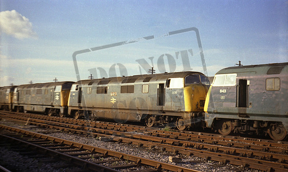 808 1970s Bristol SPM