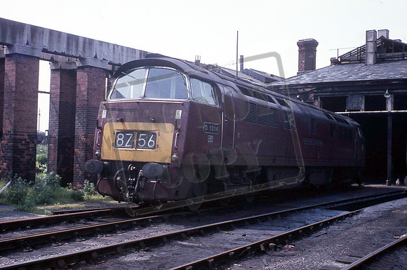 D1014 1969-06-08 Swindon