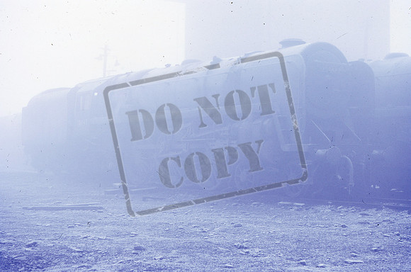 70047 1967-12-ROS-1410-981