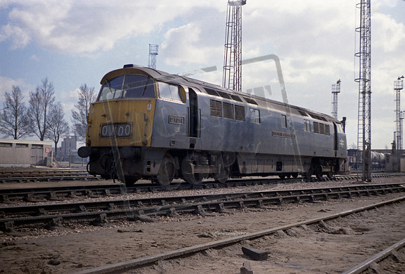 D1018 1973 Laira