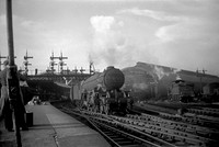 60502 1953-05-19 Newcastle