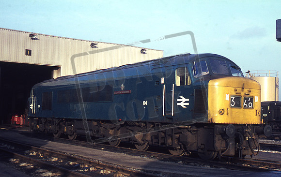 64 1967c Toton