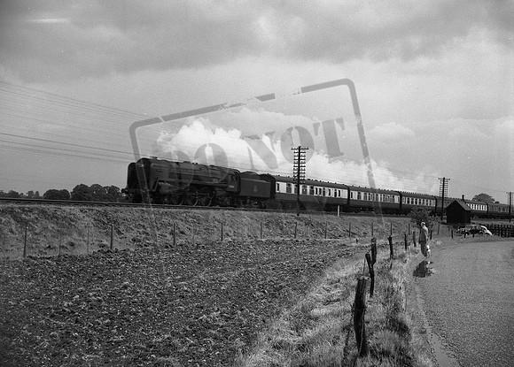 70044 check 1950s-ROneg-050