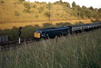 46006 1977 Glendon