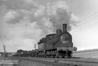 57252 1950s Whitemoss