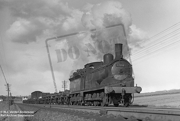 57252 1950s Whitemoss