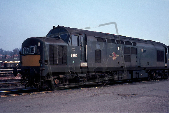 6600 1969-04-07 Hereford