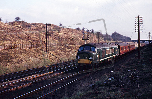 D82 1967 Glendon