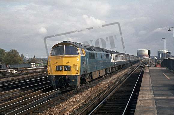 D1021 1974 Reading