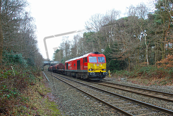 60007 2019-02-06 Sutton Park-ROneg