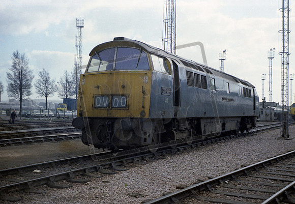 D1018 1973-03 Laira